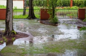 Flooded yard and drainage systems.